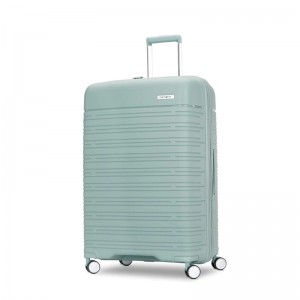 Bagaj verificat Samsonite Elevation™ Plus Large Spinner Verzi | 015478-KFW